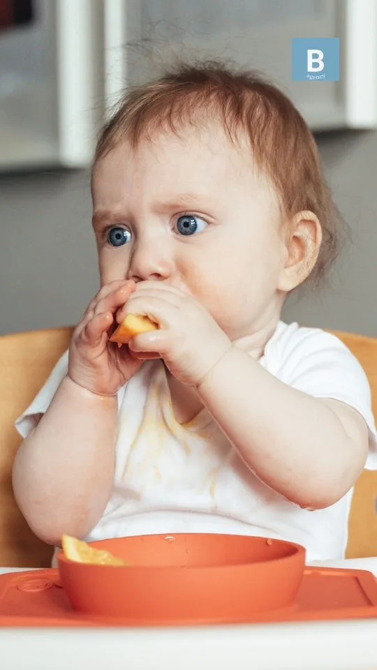 baby feeding products 1
