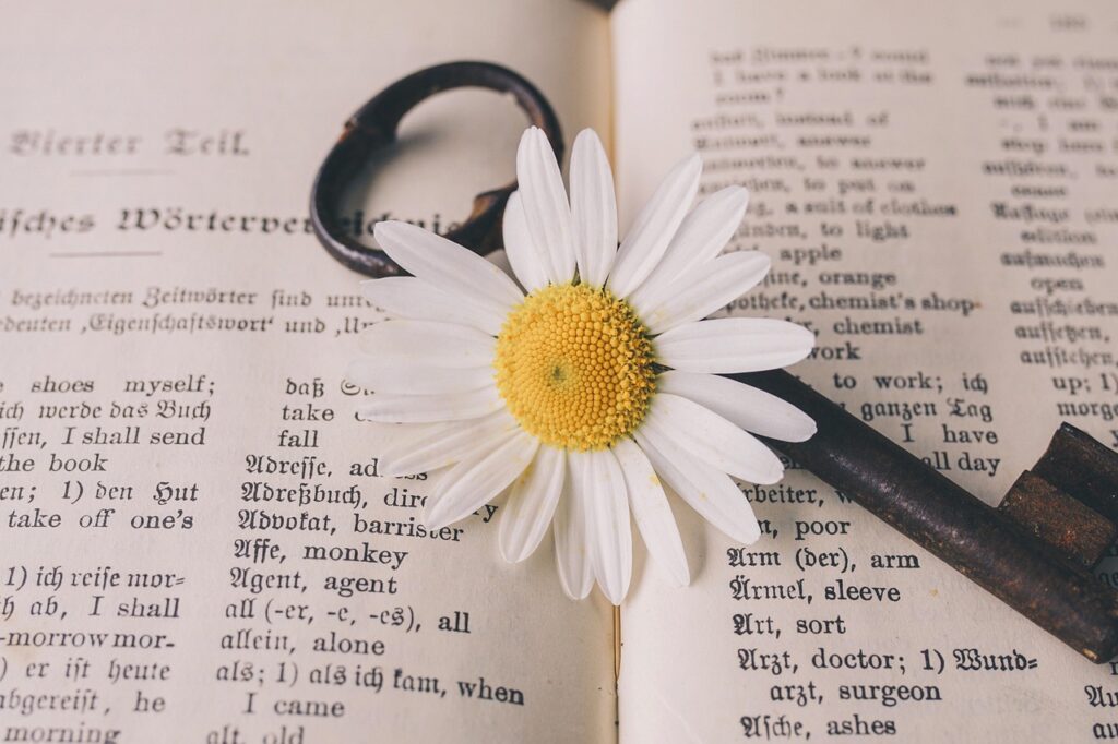 key, nature, old, flower, nostalgic, vintage, marguerite, blossom, bloom, beautiful flowers, flower background, rust, metal, antique, dictionary, german-english, translation, words, flower wallpaper, a book
